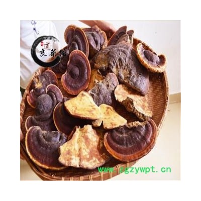 灵芝 野生无柄赤芝 海南产 野生灵芝 药典标准 地道良药馆1000克直销 品种齐全 一站购齐