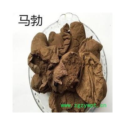 马勃 灰小 产地 内蒙古自治区 凯捷中药