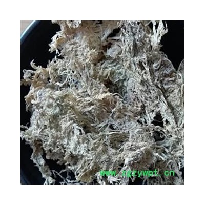 吉康药业石蕊花 云芝茶 太白花 太白树