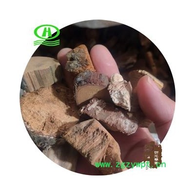 世元药业 茯神木 别称 黄松节 松节 茯神心 茯神心木 茯苓木