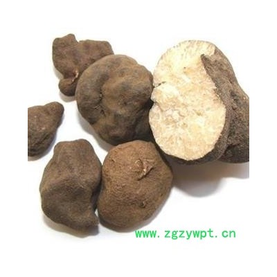 雷丸 竹苓、雷实、竹铃芝 正品统货 产地 云南省