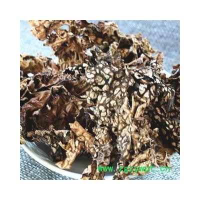 小丽百草行中药材老龙皮 石龙皮 网肺衣 石龙衣