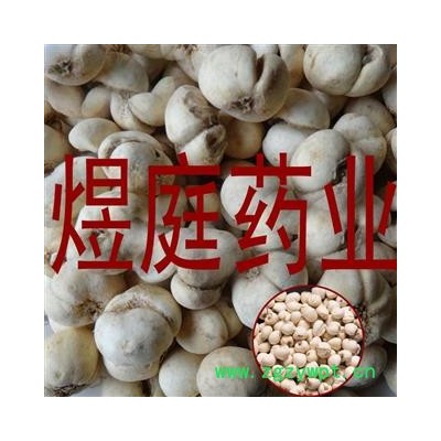 煜庭药业 浙贝  贝母 象贝 象贝母 大贝母