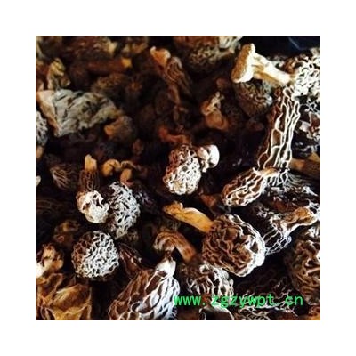 羊肚菌 食积气滞、脘腹胀满、痰壅气逆喘咳