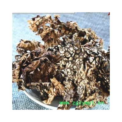 吉康药业老龙皮 石龙皮 网肺衣 石龙衣新货颜色好