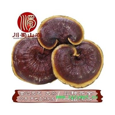 金边灵芝大朵统货散装1公斤起批产地直供灵芝川蜀山农中药材批发