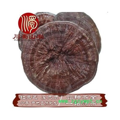 红灵芝厚肉质无硫个子散装1公斤起批产地直供川蜀山农中药材批发