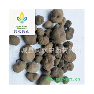 【雷丸】@【同欢药材】中药材批发供应 规格齐全 量大从优 产地 云南省