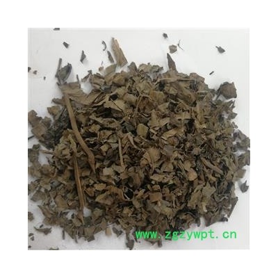 瑞森药材行 中药材 算盘子叶 野南瓜叶