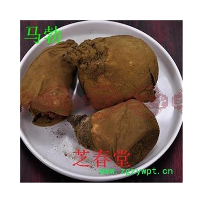马勃 马粪包 纯正能蒙古大草原马粪上生长的 产地直销 质量保证