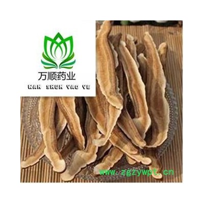 精品木灵芝选片 质量好 价格低  产地 吉林省