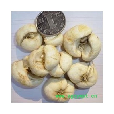 诺源药材行，象贝大川贝 浙贝片 贝母 优质野生