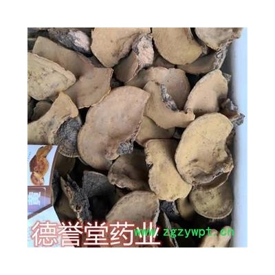 桑黄 东北桑黄 桑黄灵芝 德誉堂药业批发各种中药材