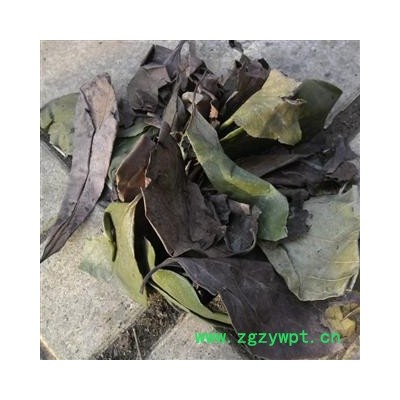 柿子叶 统货 产地 四川省成都市双流县