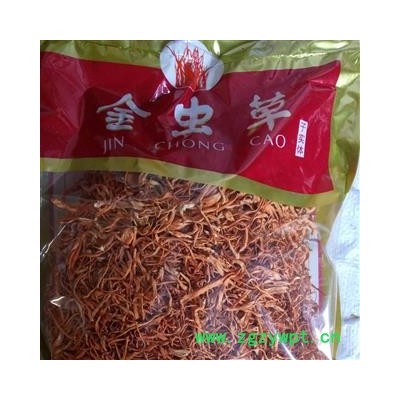 金虫草 统货