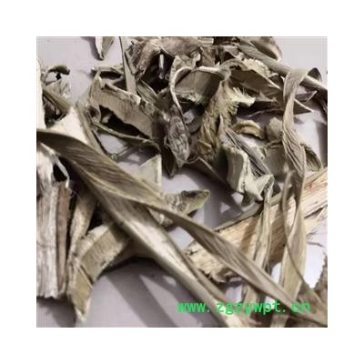 安祁名药剑麻 龙舌兰麻  菠萝麻