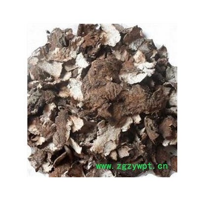 茯苓皮 好统货 产地 安徽省