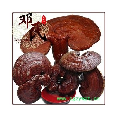 【满包邮】小个红灵芝1公斤起批散装批发 精选 产地 吉林省白山市抚松县 邓氏中药行