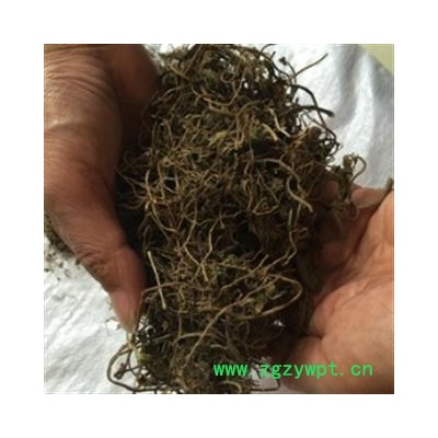 安祁名药正品缬草 毛缬草