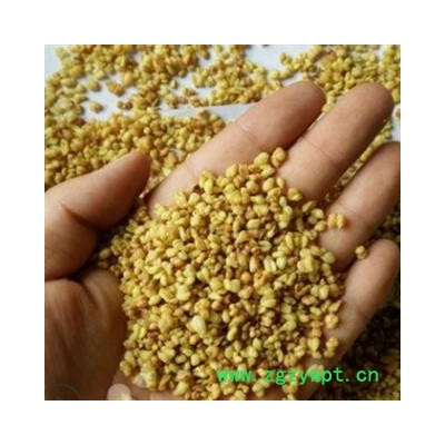 安祁名药优质苦荞茶 黄金苦荞 精品花茶