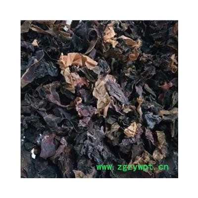 昆布 昆布水洗统货 产地 山东省