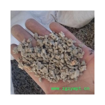 海浮石 小粒 统