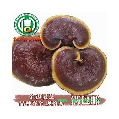 【满包邮】金边灵芝大朵、小朵统货散装吉林产地直供金边赤灵芝沁信源中药批发