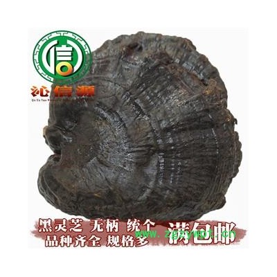 【满包邮】野生黑灵芝个子无柄统货口感好散装云南产地直供紫灵芝沁信源中药批发