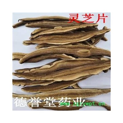 灵芝 选 灵芝片 产地 山东 德誉堂药业批发各种中药材