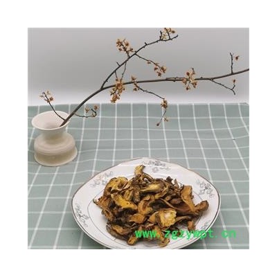 虎杖 选片 产地 四川省成都市双流县