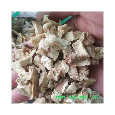 安祁名药正品菊苣根  苦菊