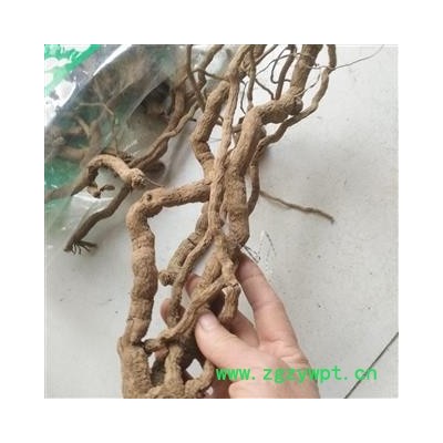 安祁名药正品山胡椒根 原生态无硫