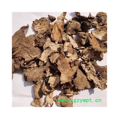 茯苓皮  茯苓皮统装 发货前过筛干净 产地 安徽省