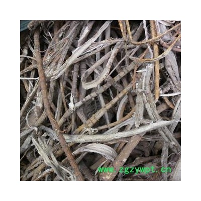 桑白皮 统 产地 四川省成都市双流县 库存 100公斤可售