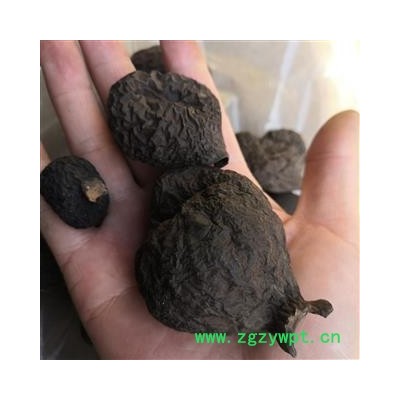 新辉药业乌灵参  雷震子 乌丽参