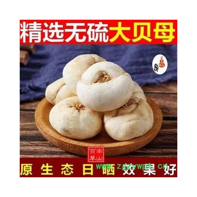 【新货精选】大贝母 浙贝手工挑选 日晒无硫500g【打折结束】