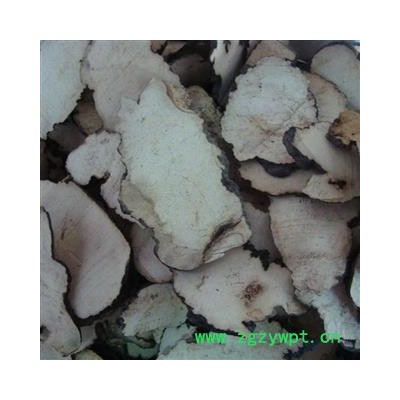 猪苓 0.2筛子以上统片 产地 陕西省咸阳市渭城区