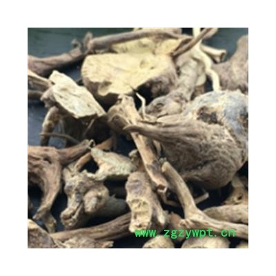 安祁名药正品香茶菜根 盘龙七根