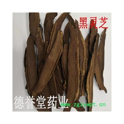 灵芝 选 黑灵芝 黑灵芝片 德誉堂药业批发各种中药材