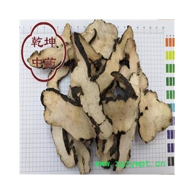 猪苓 选片  高含量 产地 陕西省【品种齐全 诚信经营】