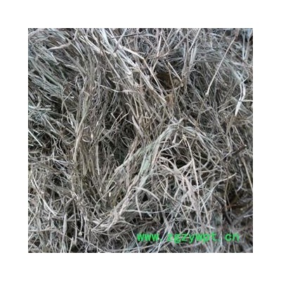 铁线草 统货 产地 四川省成都市双流县
