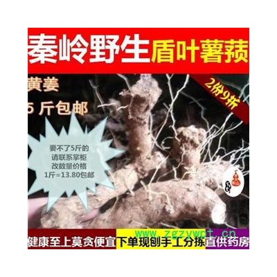 【现刨 】黄姜 2019秦岭野生盾叶薯蓣 自刨无硫 天然无添加 非姜黄【打折已结束】