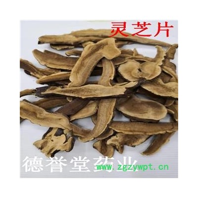 灵芝 统 灵芝片 产地 山东省 德誉堂药业批发各种中药材