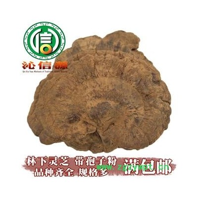 【满包邮】野生林下无柄灵芝个子统货带孢子粉散装云南产地直供紫灵芝 野生灵芝沁信源中药批发
