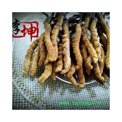 【包邮】冬虫夏草 虫草 精选3000条 色泽饱满 无竹签无断草 产地直供 品质保证【良心经营 品种齐全】