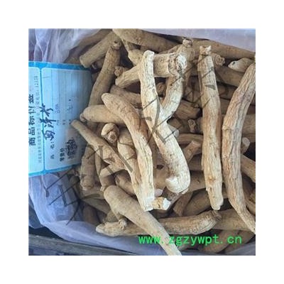 安祁名药西洋参 西洋参  12克 产地 辽宁省