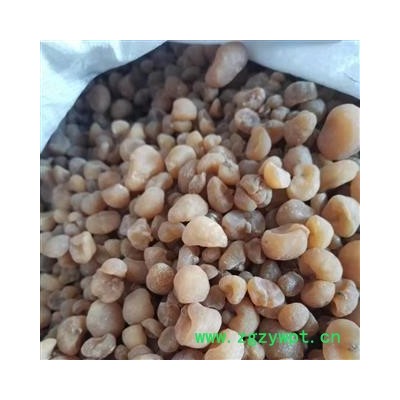 安祁名药中药材贝母 土贝母 大贝  地苦胆  草贝