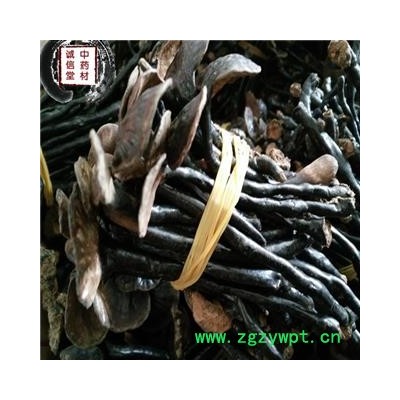 灵芝 选 竹灵芝   德誉堂药业批发各种中药材