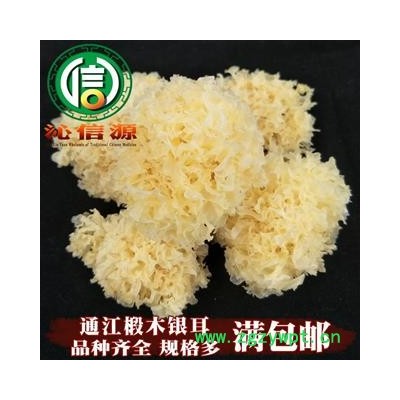 【满包邮】通江椴木银耳选货散装四川产地直供通江银耳 小银耳沁信源中药材批发