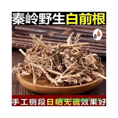 【今年新货】秦岭野生中药材白前根 水杨柳根泡水500g